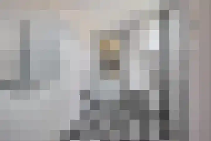 De Schelp 4 Holwierde thumbnail 16