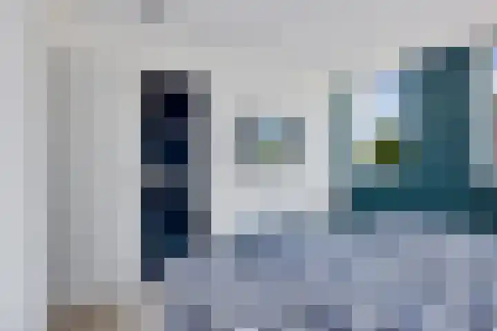 De Schelp 4 Holwierde thumbnail 20