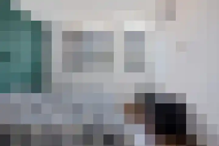 De Schelp 4 Holwierde thumbnail 23