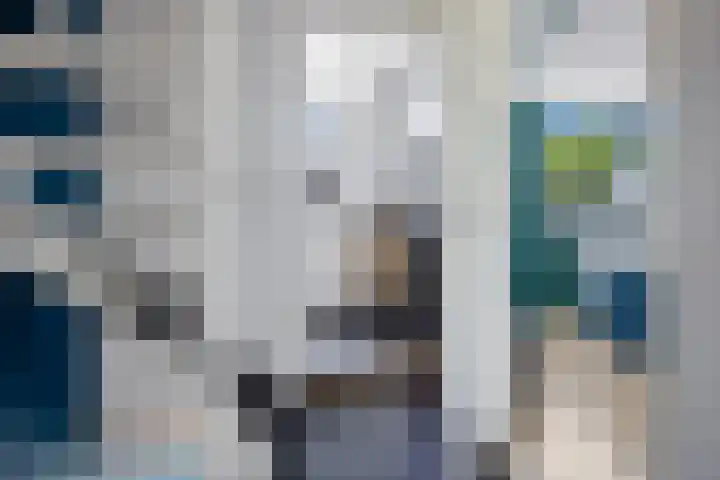 De Schelp 4 Holwierde thumbnail 26