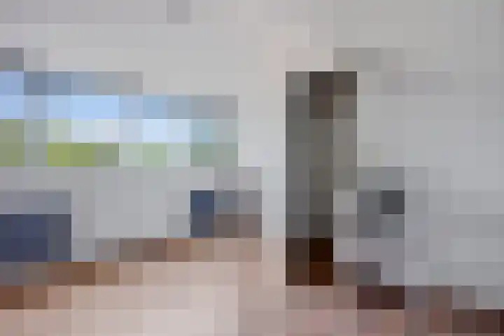 De Schelp 4 Holwierde thumbnail 28