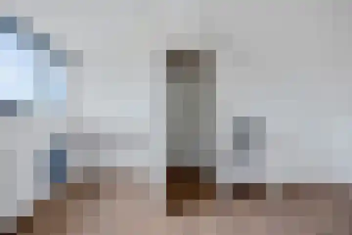 De Schelp 4 Holwierde thumbnail 29
