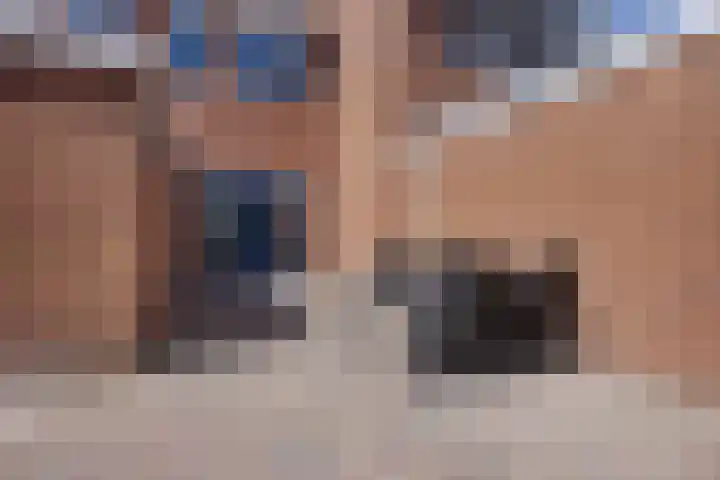 De Schelp 4 Holwierde thumbnail 33