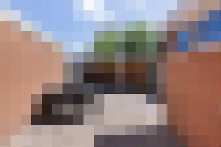De Schelp 4 Holwierde thumbnail 34