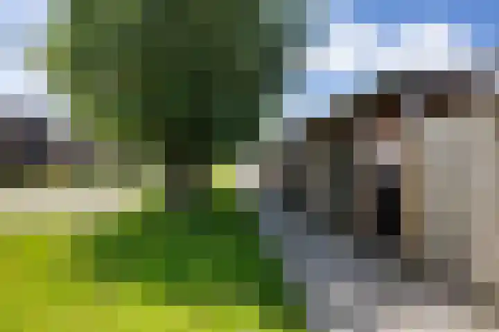 De Schelp 4 Holwierde thumbnail 37
