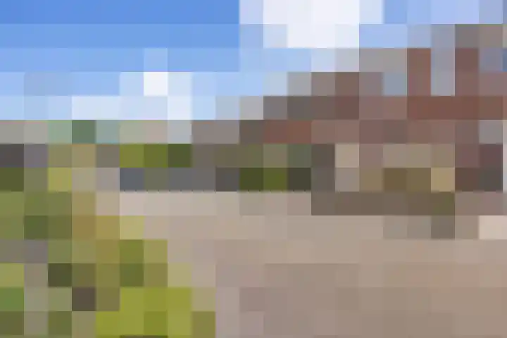 De Schelp 4 Holwierde thumbnail 38