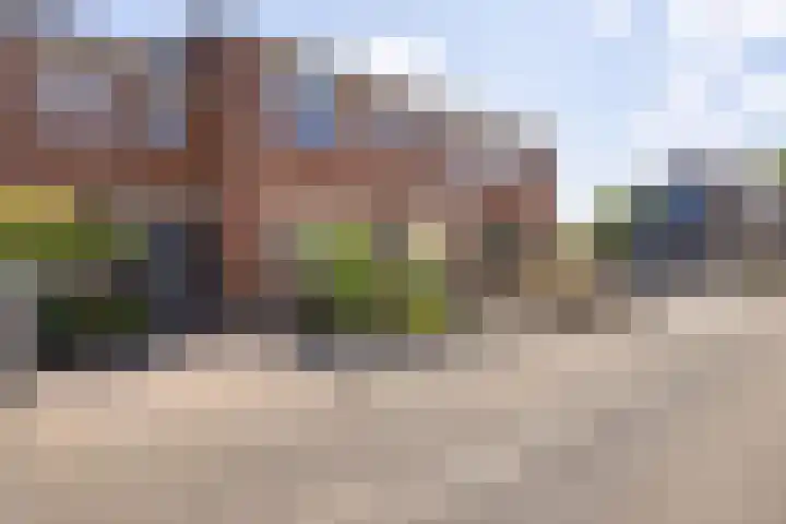 De Schelp 4 Holwierde thumbnail 5