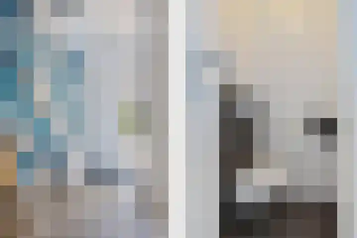 De Schelp 4 Holwierde thumbnail 8