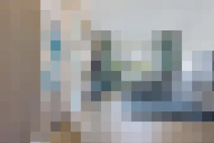 De Schelp 4 Holwierde thumbnail 9