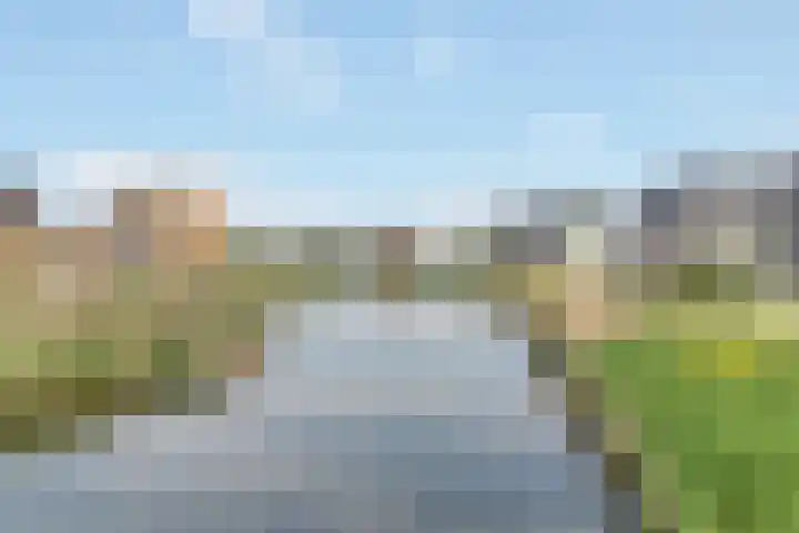 De Schelp 41 Zeewolde thumbnail 33