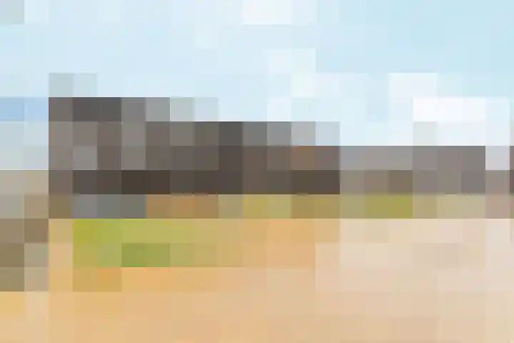 De Schelp 43 Zeewolde thumbnail 32