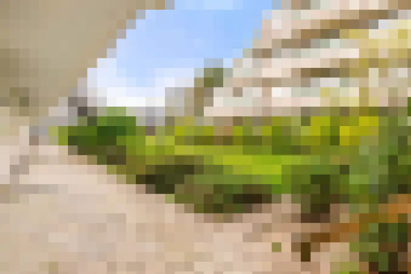 De Schelp 45 Zandvoort thumbnail 23
