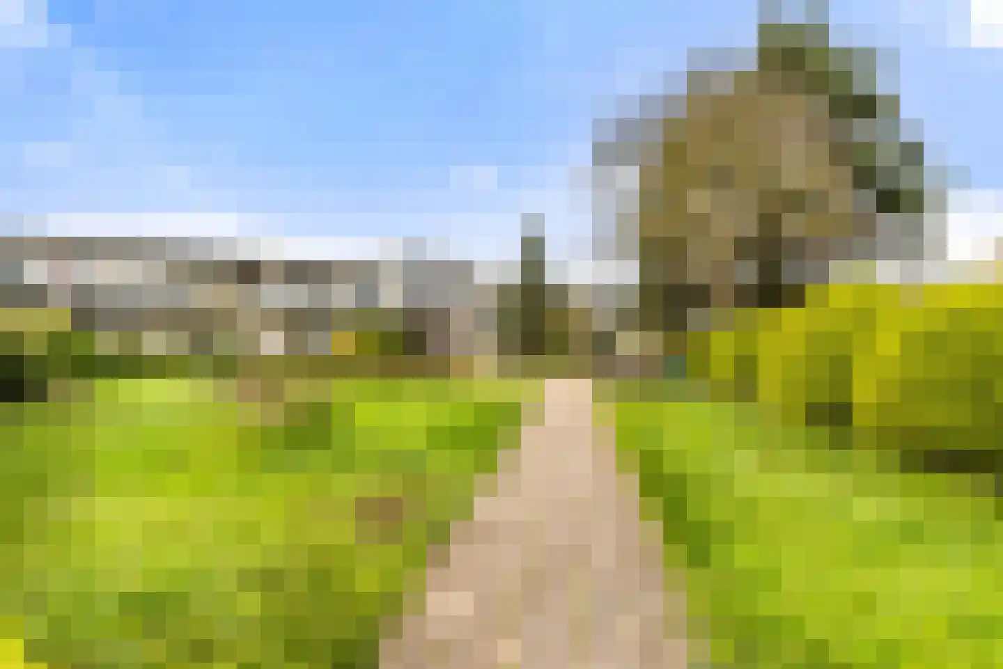 De Schelp 45 Zandvoort thumbnail 24