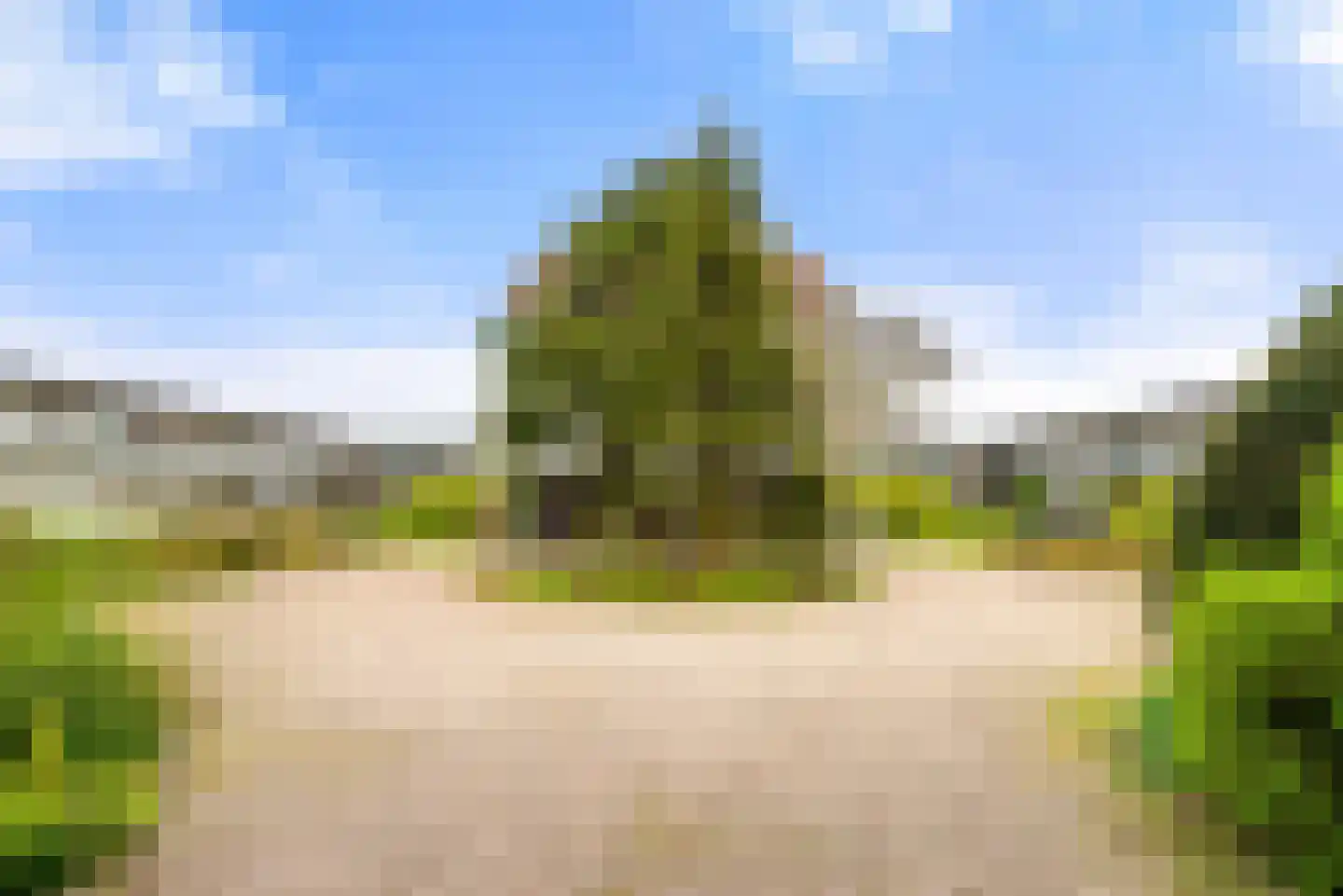 De Schelp 45 Zandvoort thumbnail 25