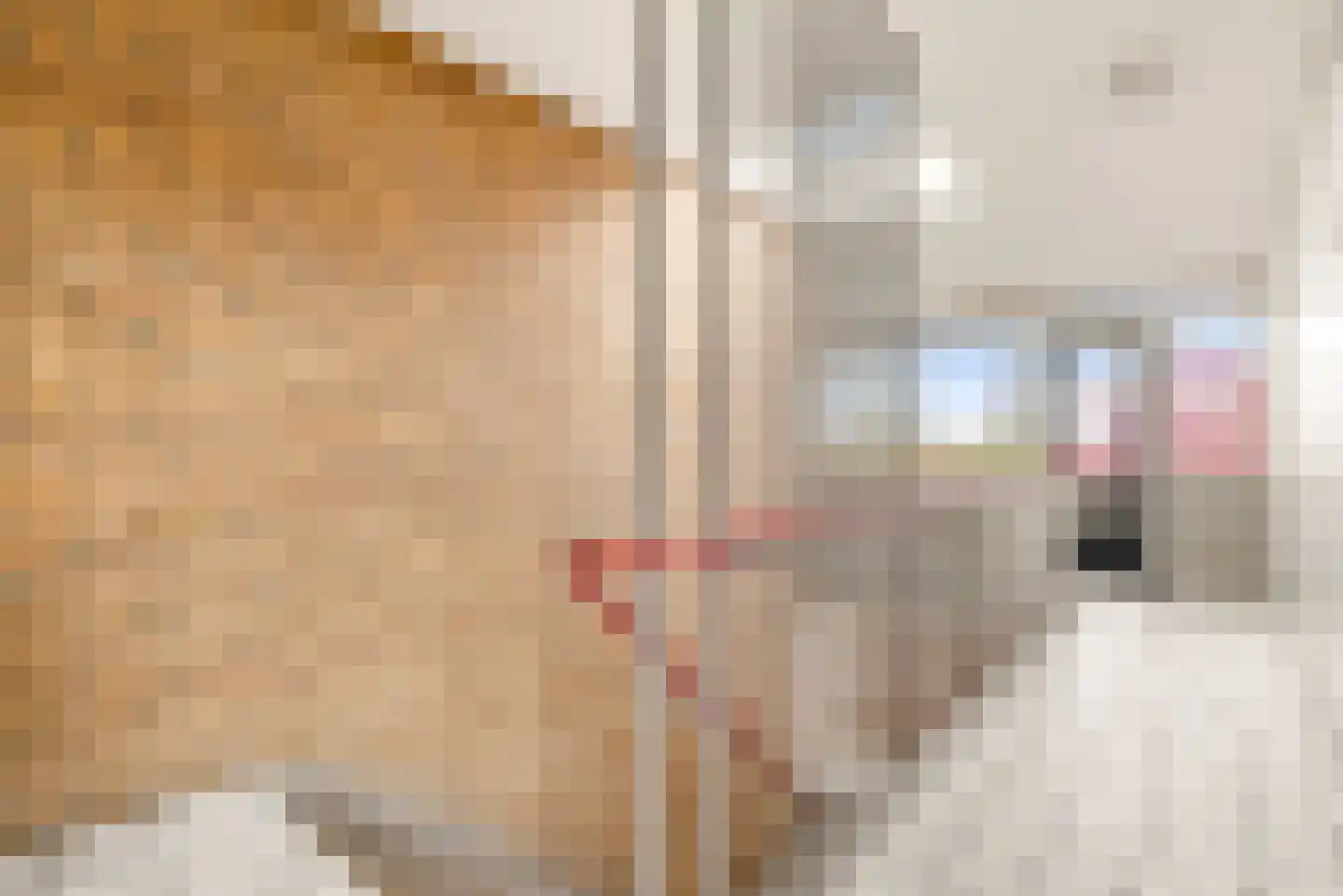 De Schelp 45 Zandvoort thumbnail 8