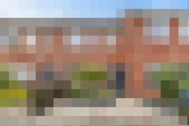 De Schelp 6 Holwierde