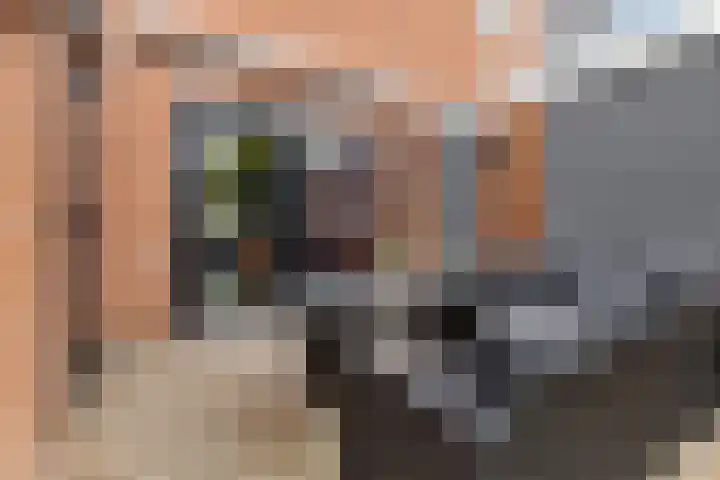 De Schelp 6 Holwierde thumbnail 10