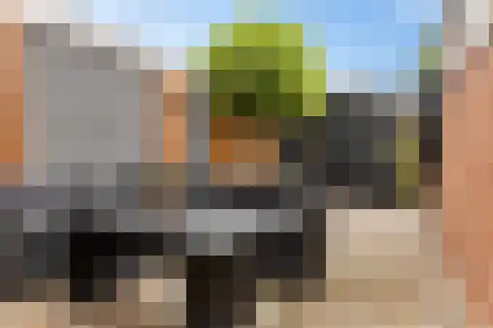 De Schelp 6 Holwierde thumbnail 11