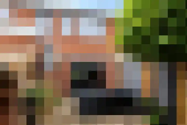 De Schelp 6 Holwierde thumbnail 12