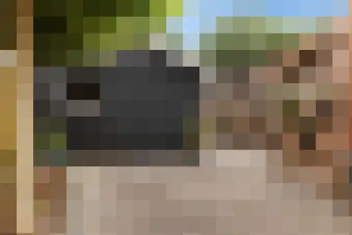 De Schelp 6 Holwierde thumbnail 14