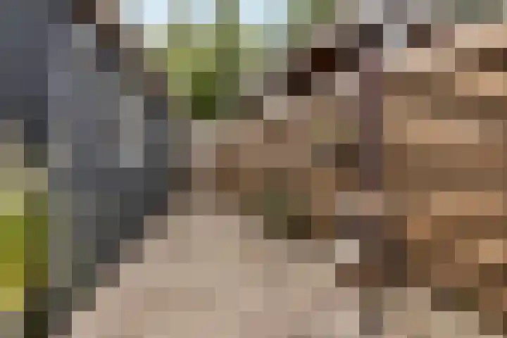 De Schelp 6 Holwierde thumbnail 15