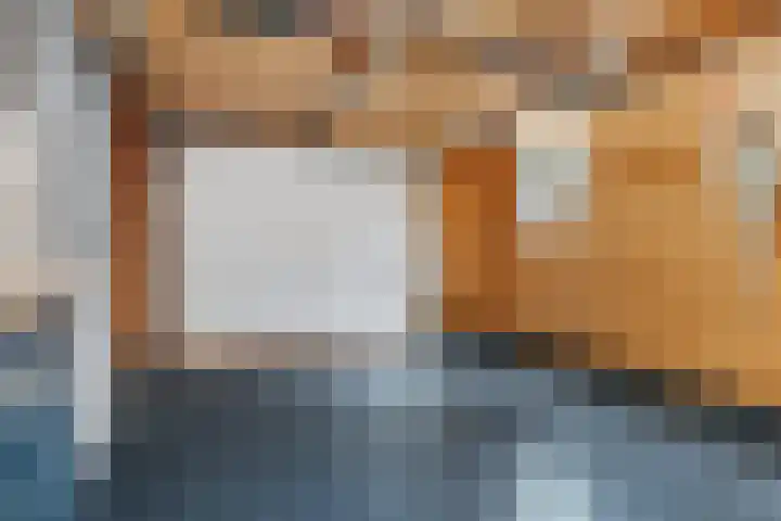 De Schelp 6 Holwierde thumbnail 17