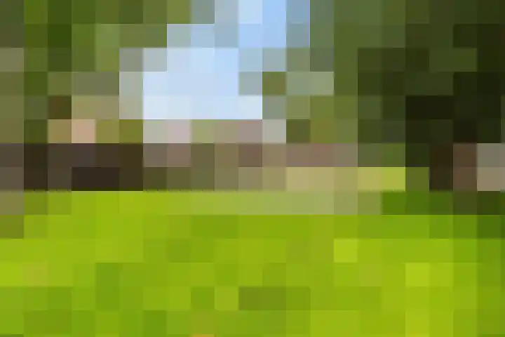 De Schelp 6 Holwierde thumbnail 19