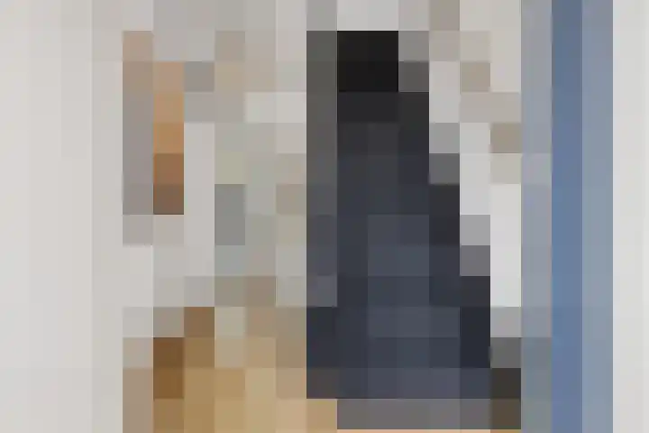 De Schelp 6 Holwierde thumbnail 21