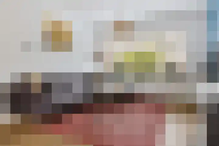 De Schelp 6 Holwierde thumbnail 24