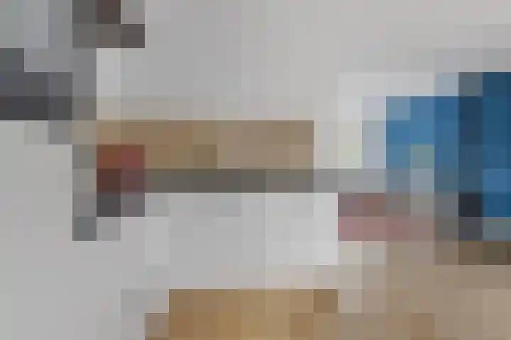 De Schelp 6 Holwierde thumbnail 30