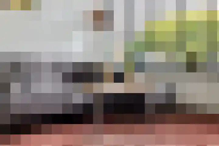 De Schelp 6 Holwierde thumbnail 33