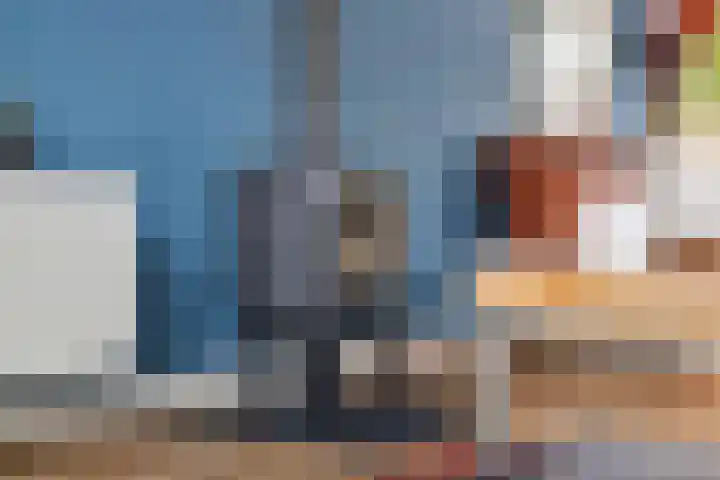De Schelp 6 Holwierde thumbnail 34