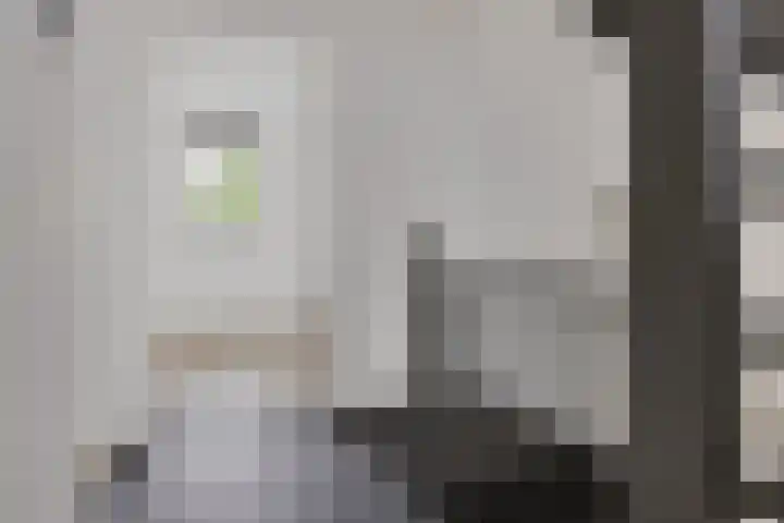 De Schelp 6 Holwierde thumbnail 40