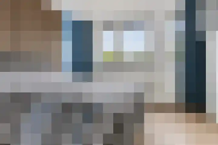 De Schelp 6 Holwierde thumbnail 42