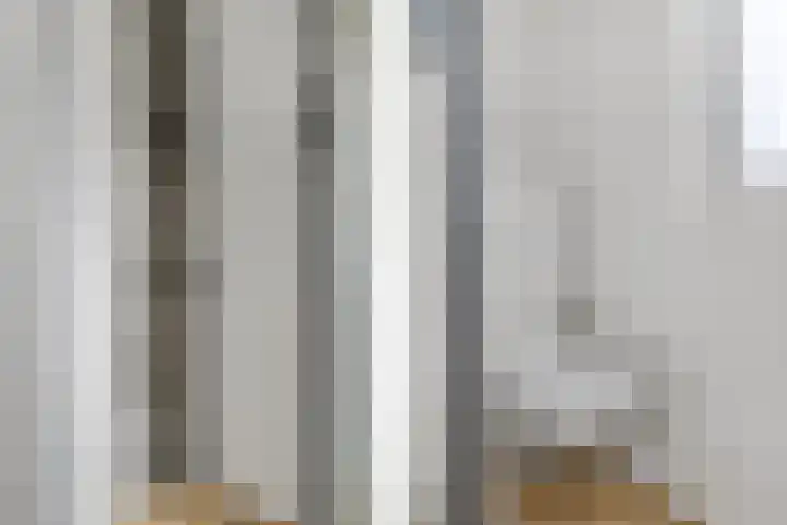 De Schelp 6 Holwierde thumbnail 47