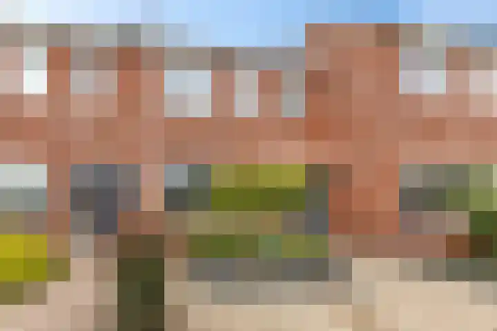 De Schelp 6 Holwierde thumbnail 7