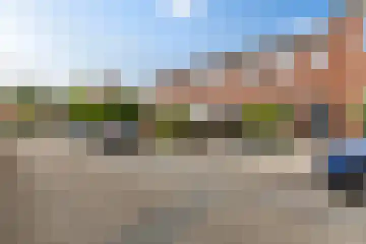 De Schelp 6 Holwierde thumbnail 8