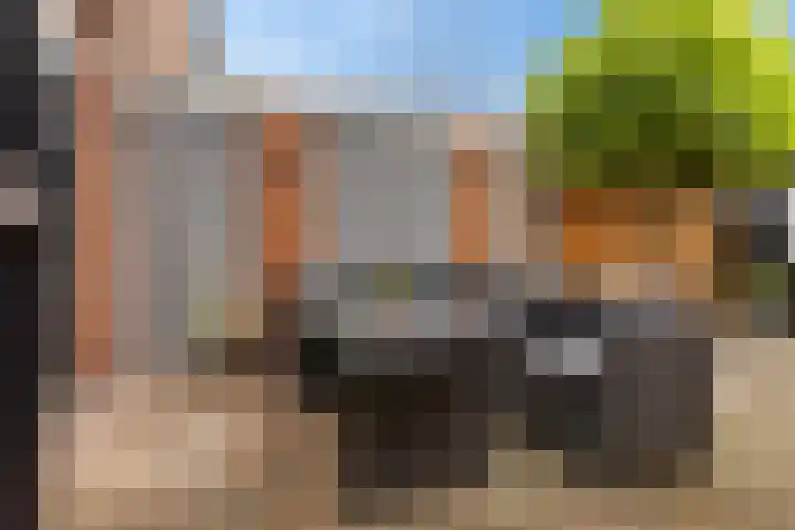 De Schelp 6 Holwierde thumbnail 9