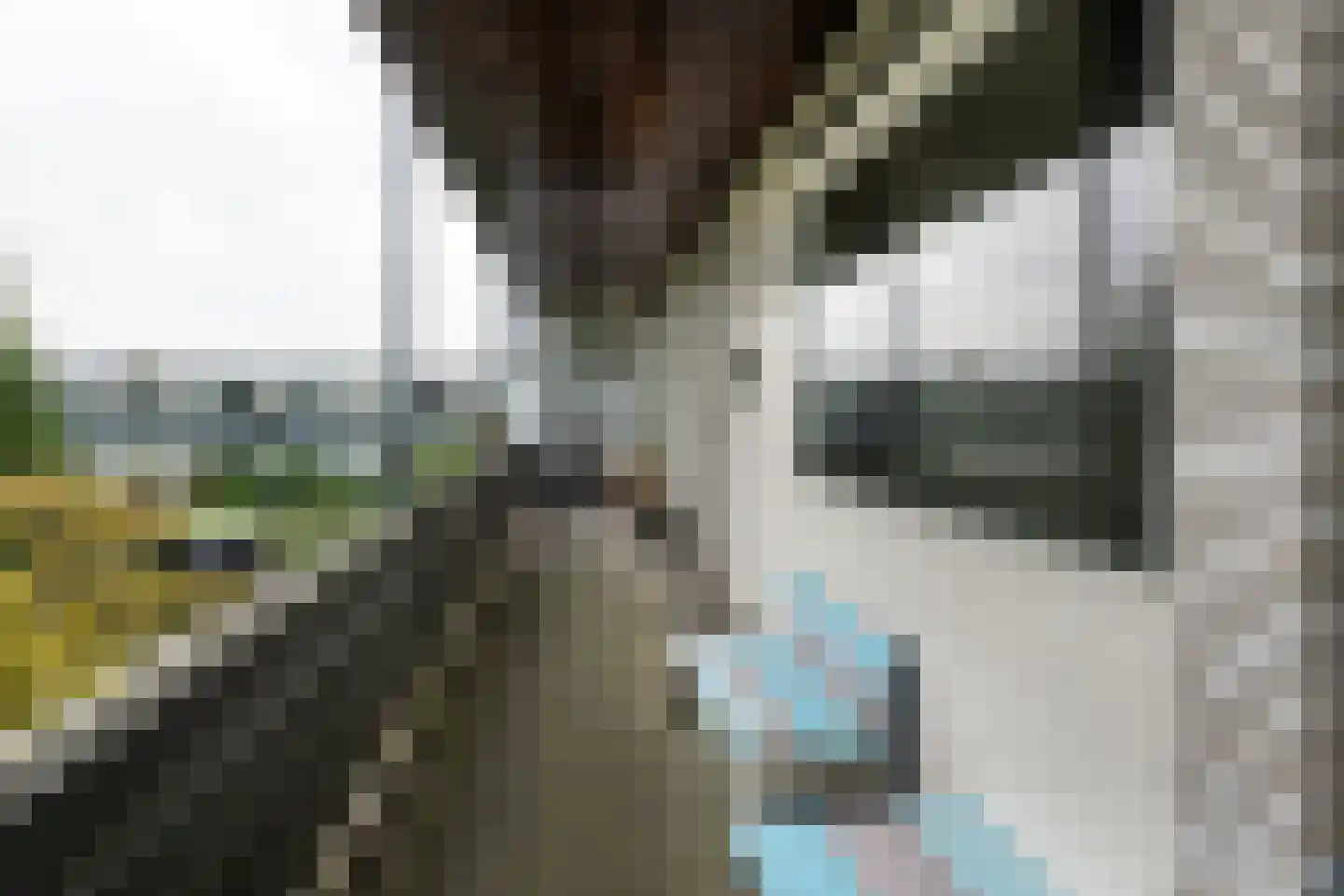 De Schelp 66 Zandvoort thumbnail 10