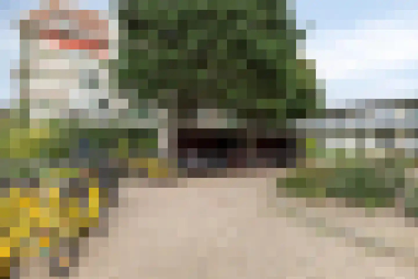 De Schelp 67 Zandvoort thumbnail 21