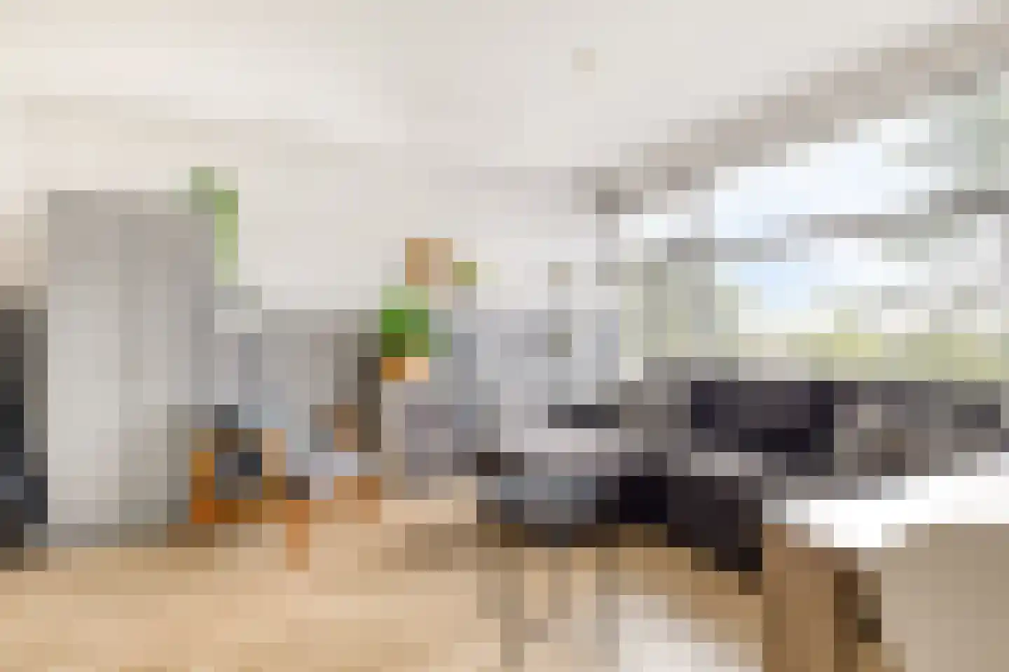 De Schelp 67 Zandvoort thumbnail 4
