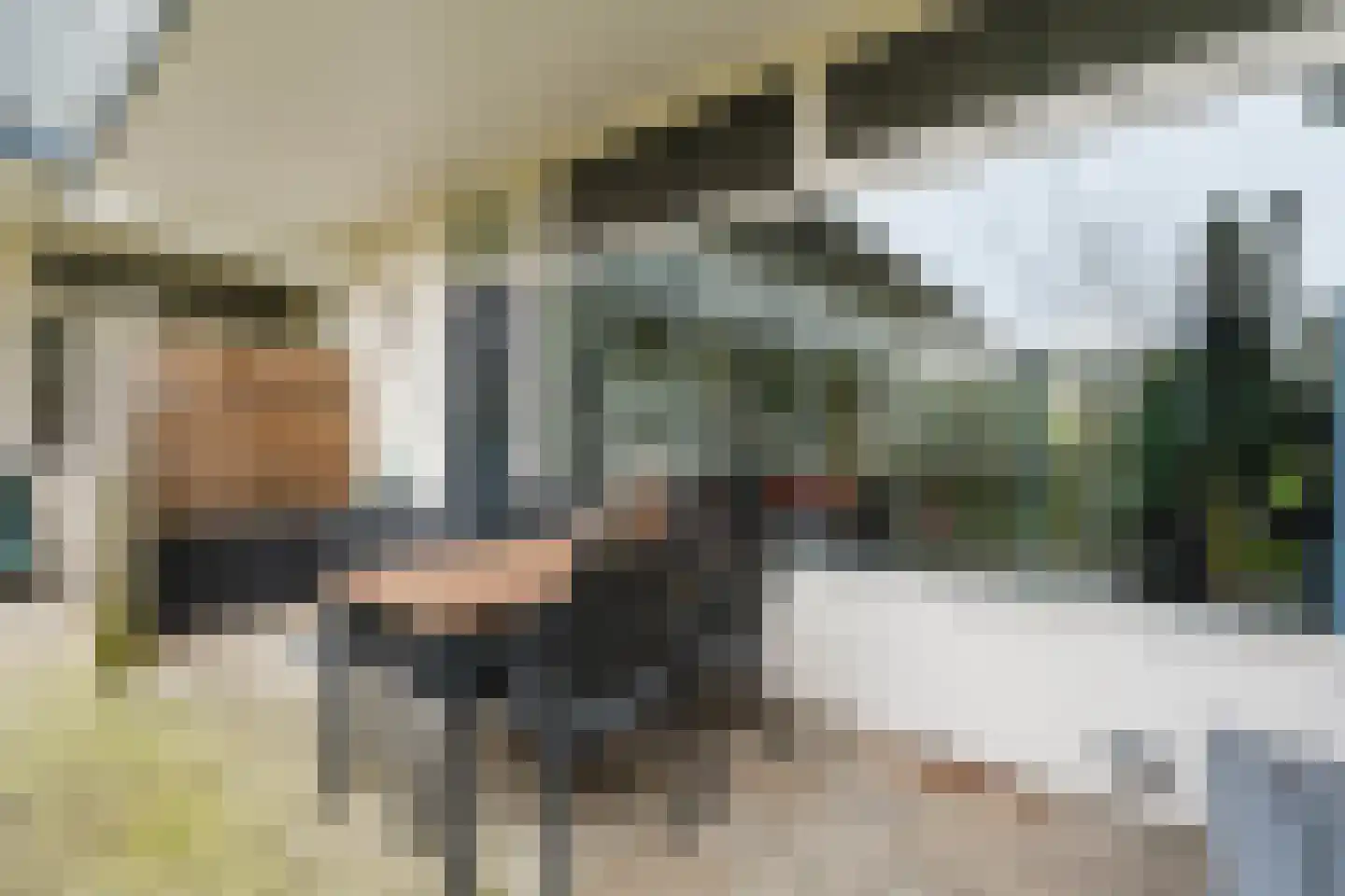 De Schelp 86 Zandvoort thumbnail 16