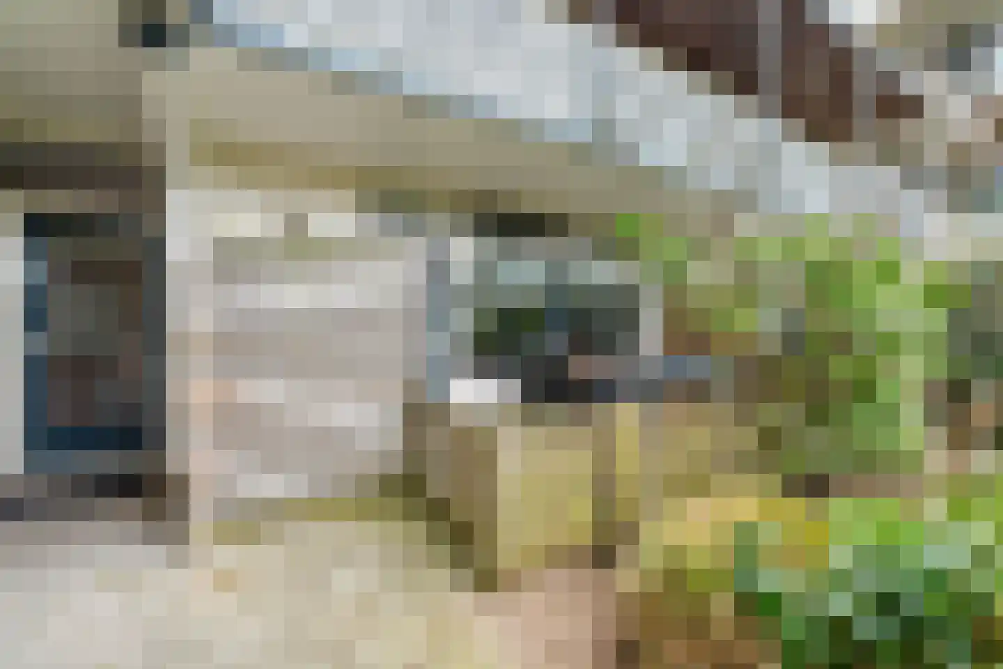 De Schelp 86 Zandvoort thumbnail 17