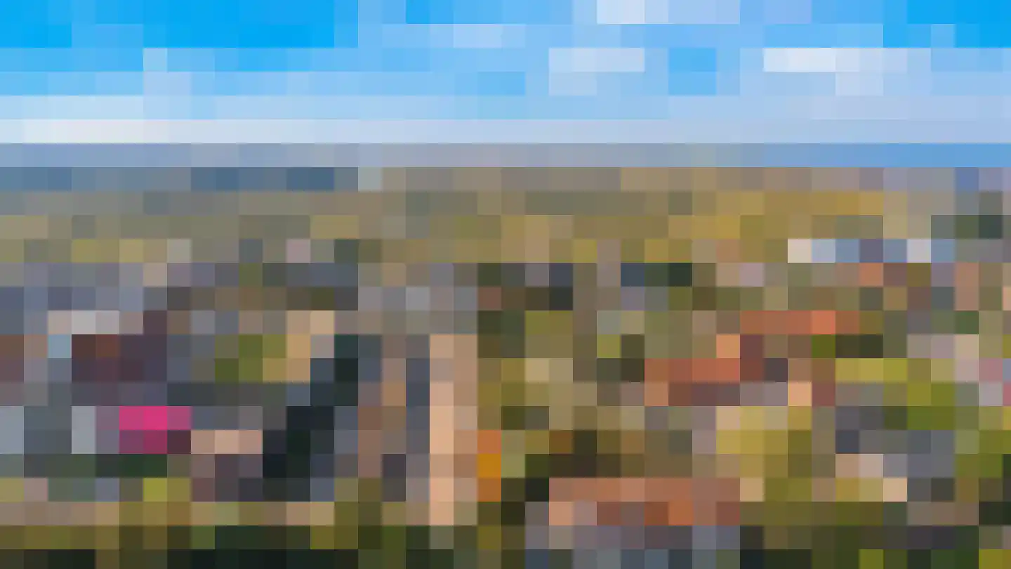 De Schelp 86 Zandvoort thumbnail 21