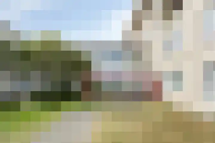 De Schelp 88 Zandvoort thumbnail 24