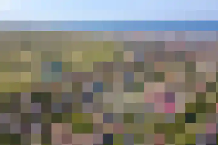 De Schelp 88 Zandvoort thumbnail 25