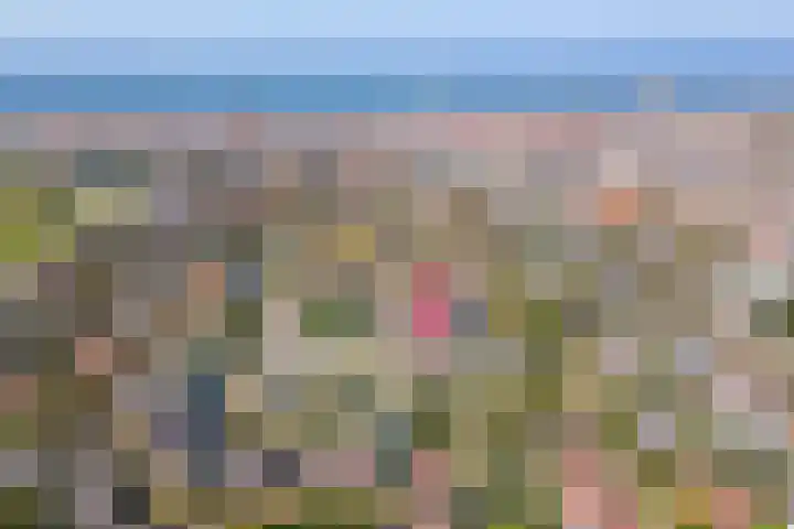 De Schelp 88 Zandvoort thumbnail 26