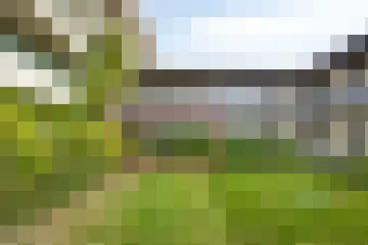 De Schelp 88 Zandvoort thumbnail 30
