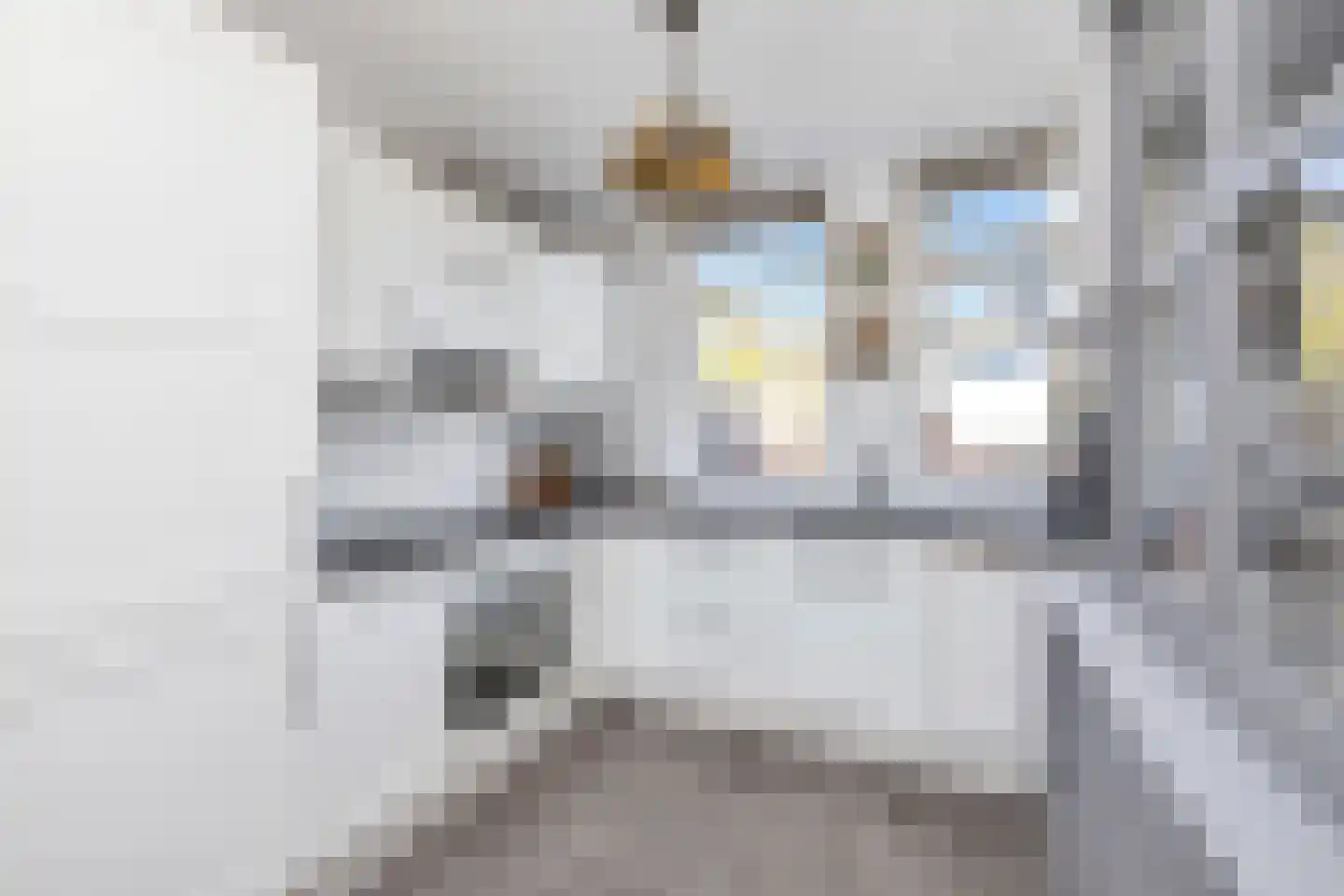De Schepel 13 Dronten thumbnail 20