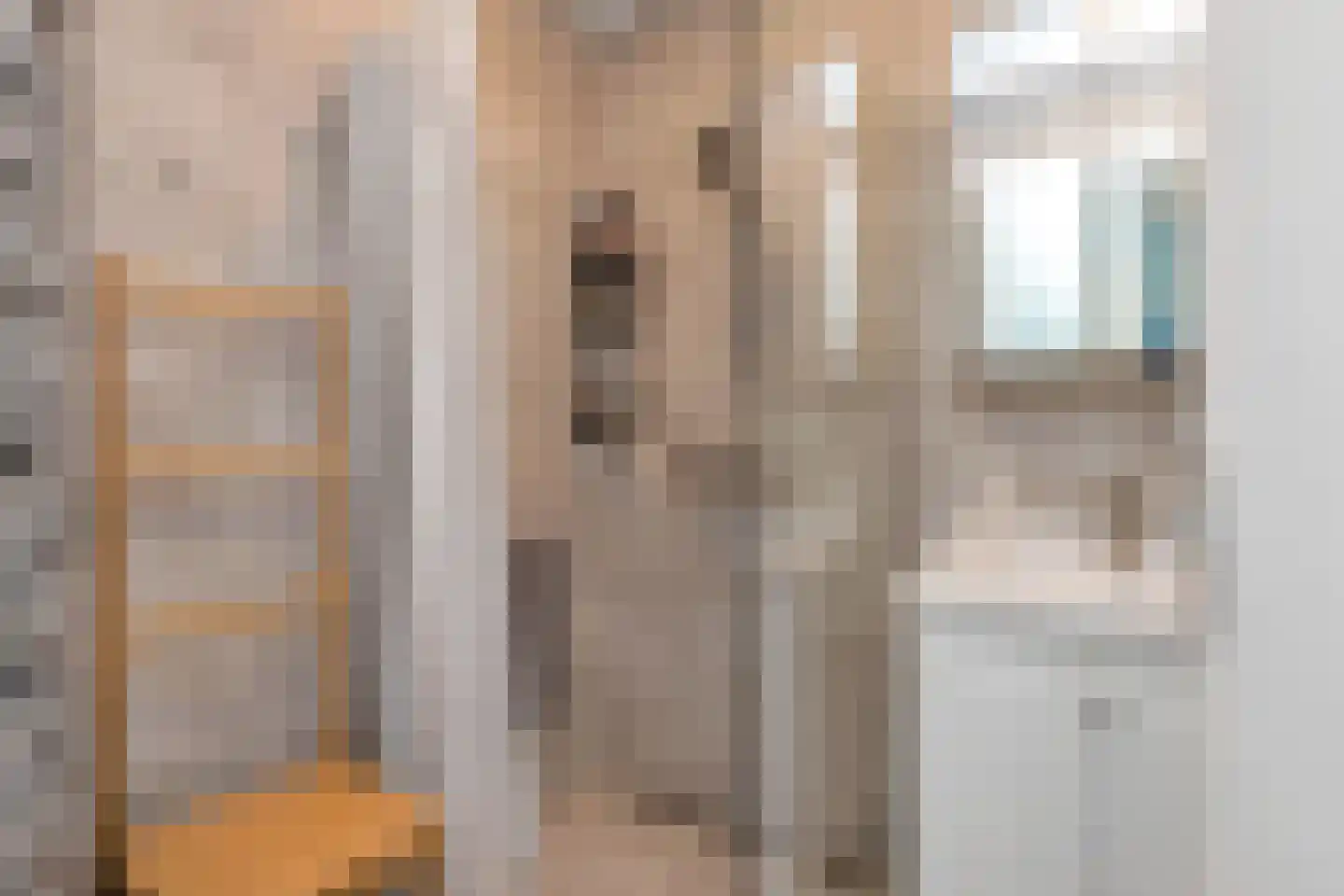 De Schepel 13 Dronten thumbnail 47